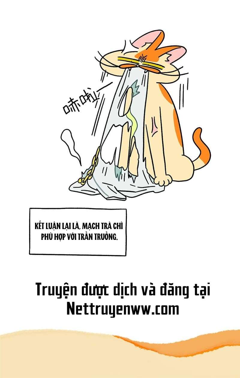 A Mãn Và Mạch Trà - Trang 6