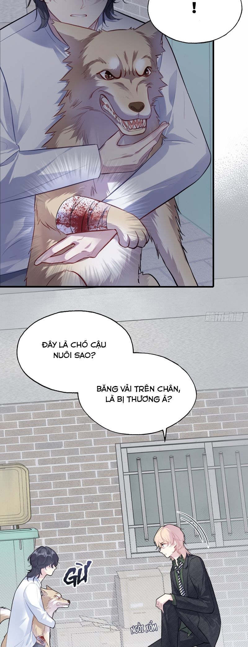 Anh Ấy Chưa Từng Rơi Xuống - Chap 78