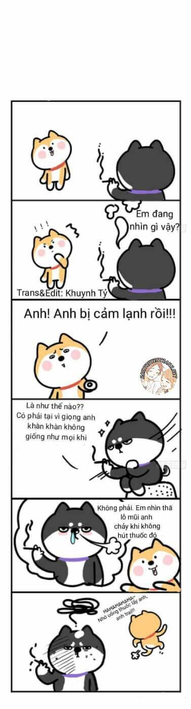 Anh Em Shiba - Trang 7