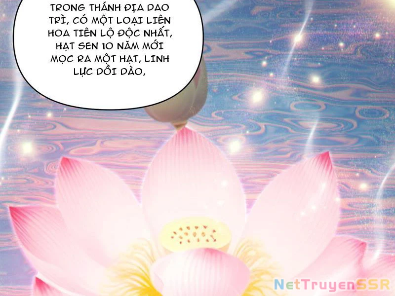 Bắt Đầu Chấn Kinh Nữ Đế Lão Bà, Ta Vô Địch! - Chap 13