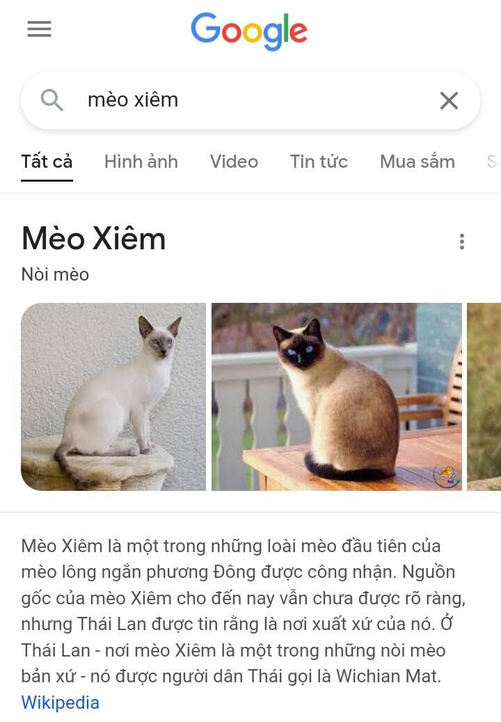 Chú Mèo Kỳ Diệu Kyuu-Chan - Trang 3