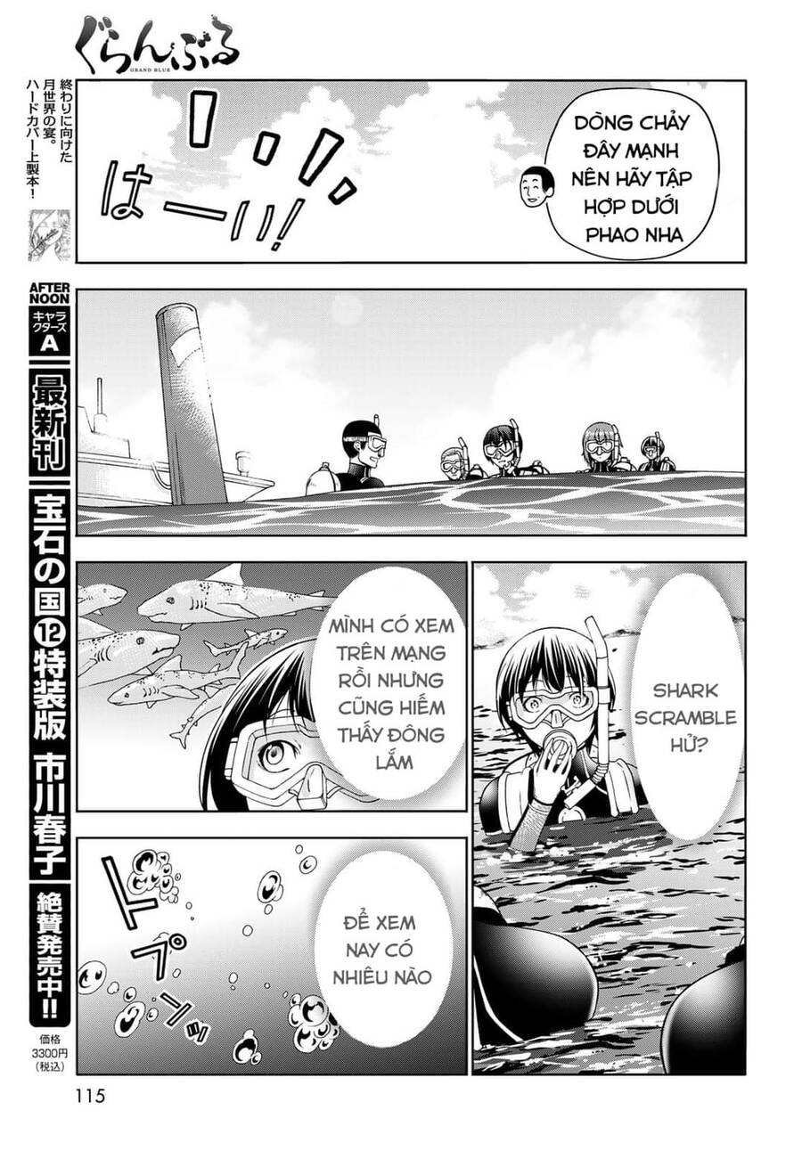 Grand Blue - Cô Gái Thích Lặn - Chap 81