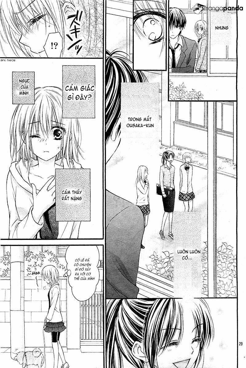 Hatsukoi Dandelion - Trang 31