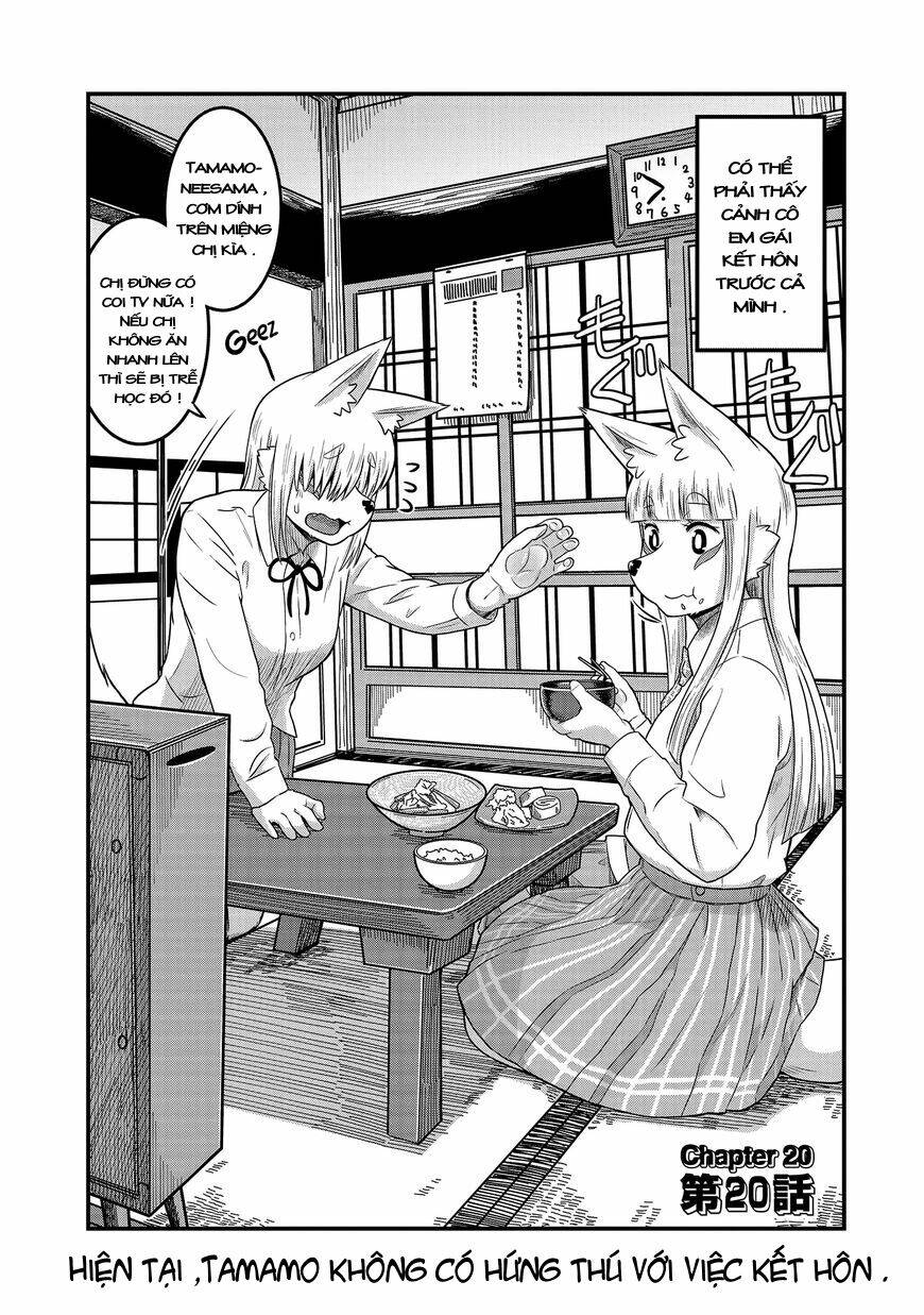 High School Inari Tamamo-Chan Chapter 20 - Next Chapter 21