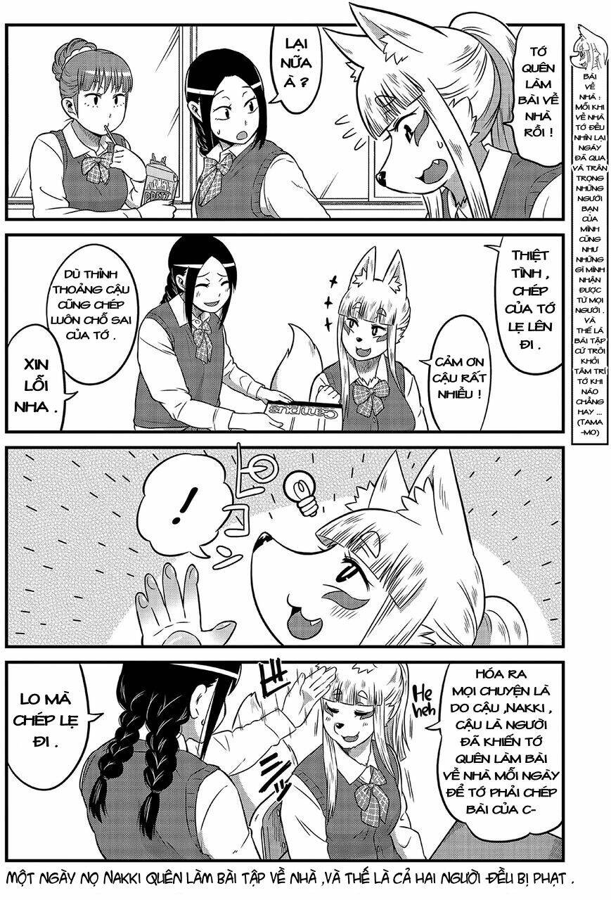 High School Inari Tamamo-Chan Chapter 6 - Next Chapter 7