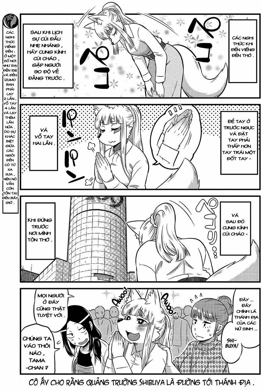 High School Inari Tamamo-Chan Chapter 8 - Trang 2