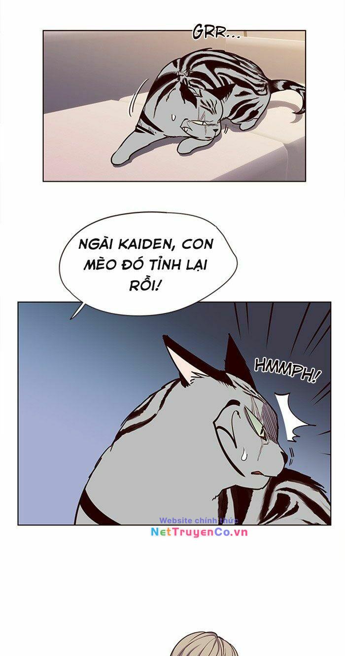 Hoá Thân Thành Mèo - Chap 10