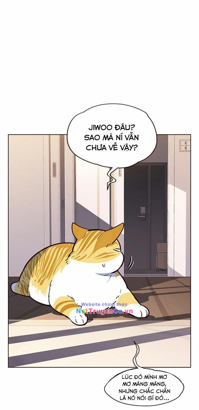 Hoá Thân Thành Mèo - Chap 12