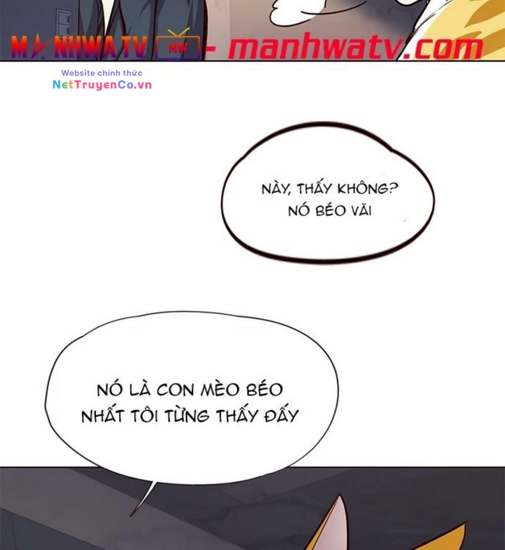 Hoá Thân Thành Mèo - Chap 19