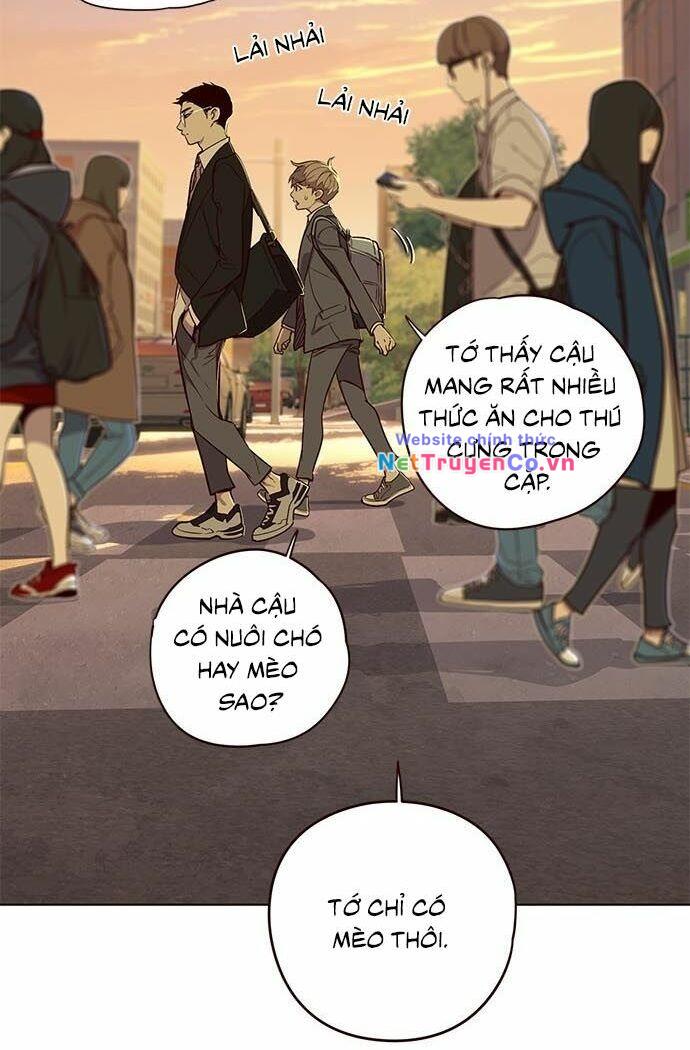 Hoá Thân Thành Mèo - Chap 9