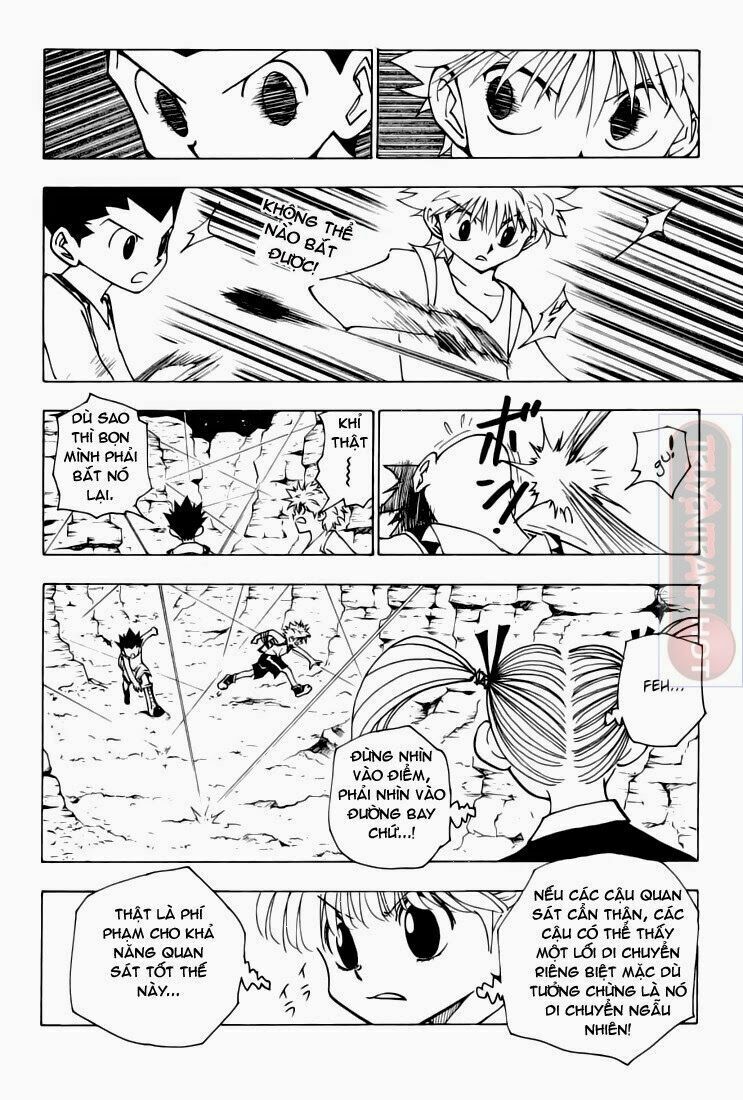 Hunter X Hunter - Trang 5