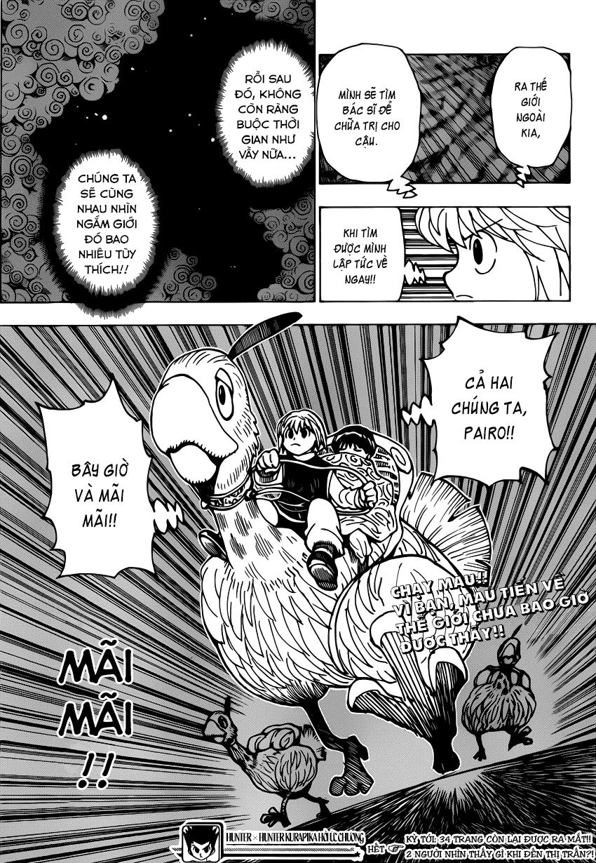 Hunter X Hunter - Trang 31