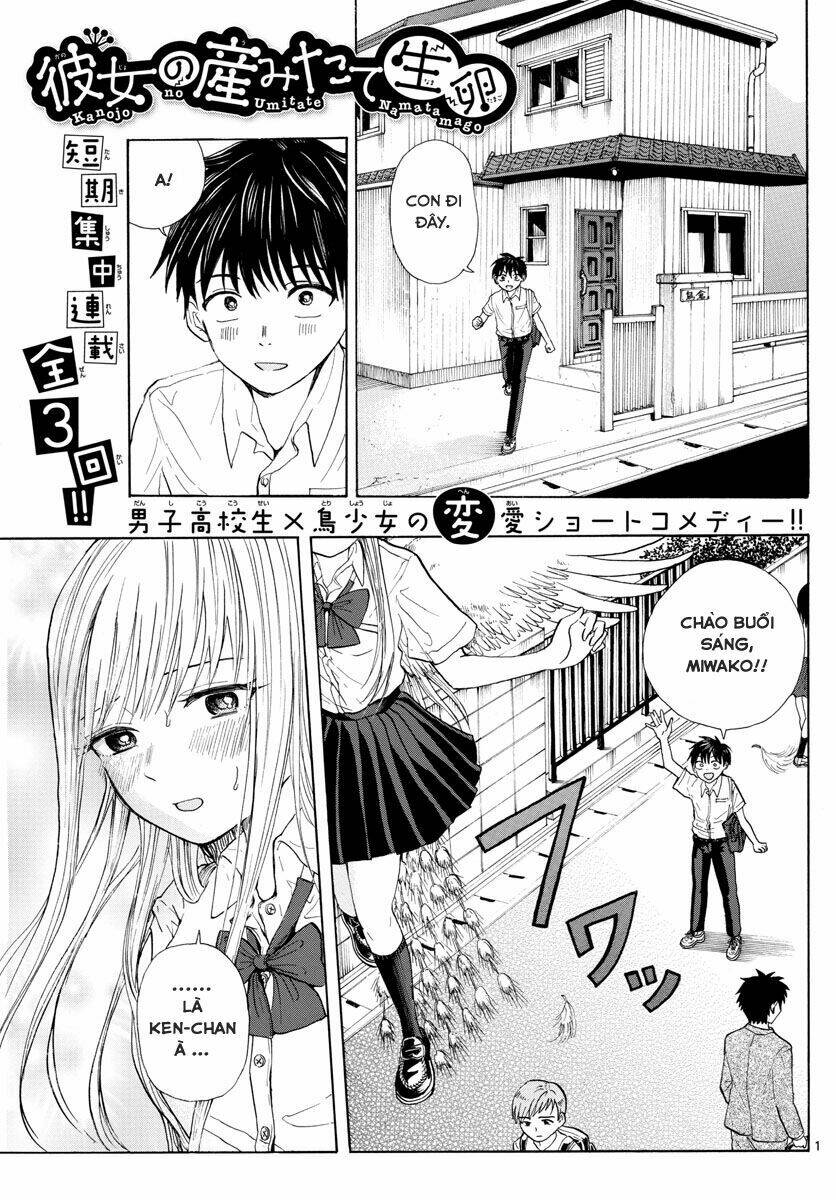 Kanojo No Umitate Namatamago - Trang 3