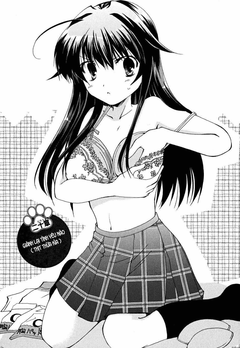 Kanokon - Trang 6