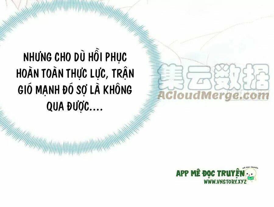 Lại Bị Bệnh Chiều Chuộng Quấn Lấy - Trang 13