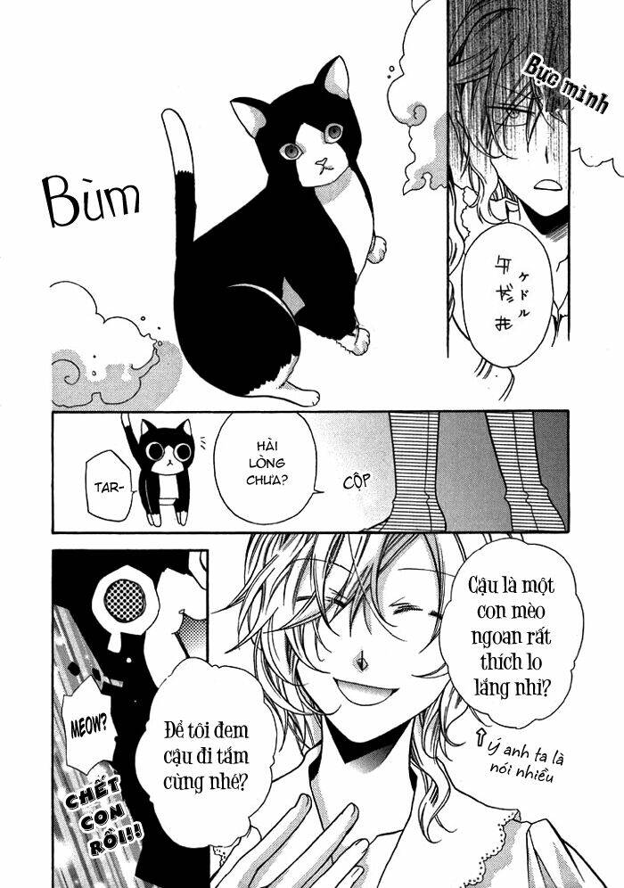 Mahoutsukai No Neko - Trang 10