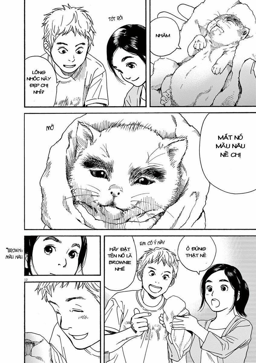 Neko No Otera No Chion-San - Trang 12