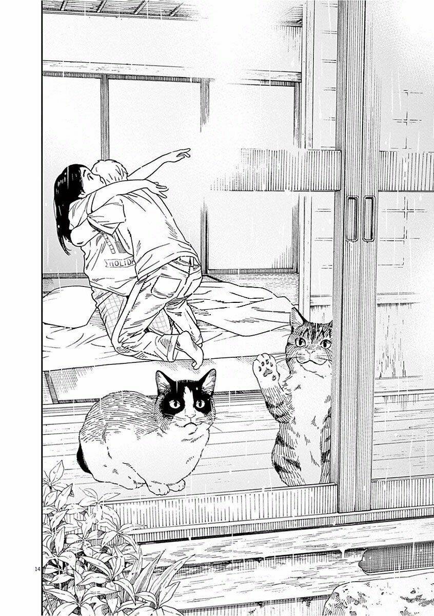 Neko No Otera No Chion-San - Trang 14