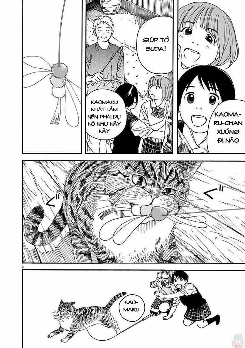 Neko No Otera No Chion-San - Trang 9