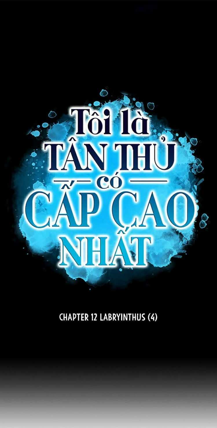 Người Chơi Mới Cấp Tối Đa - Chap 12