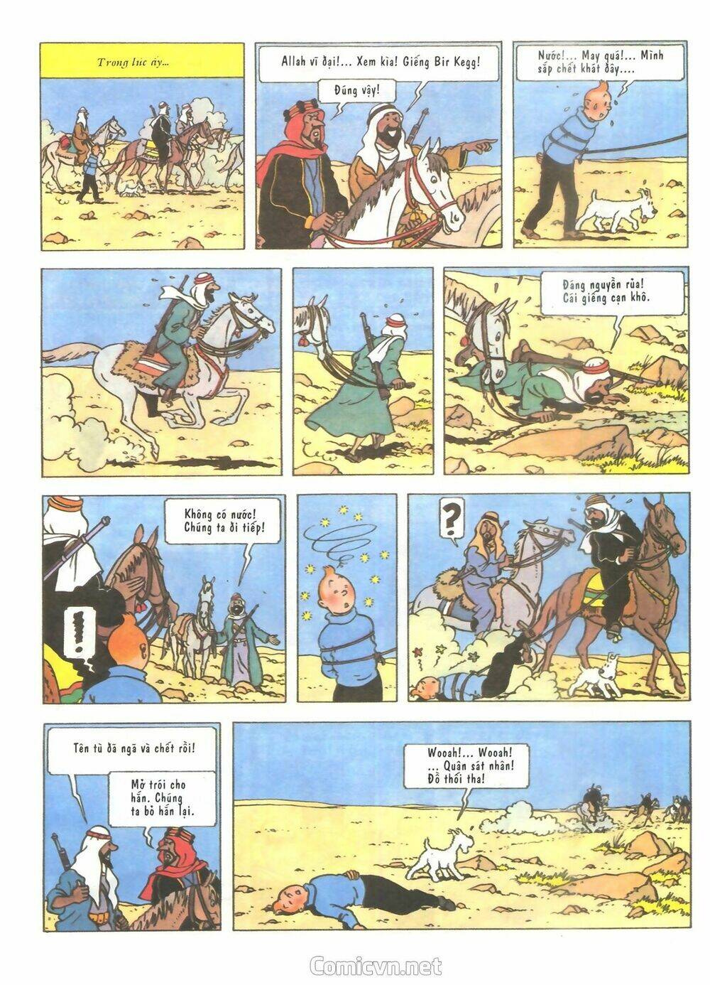 Những Cuộc Phiêu Lưu Của Tintin - Trang 21