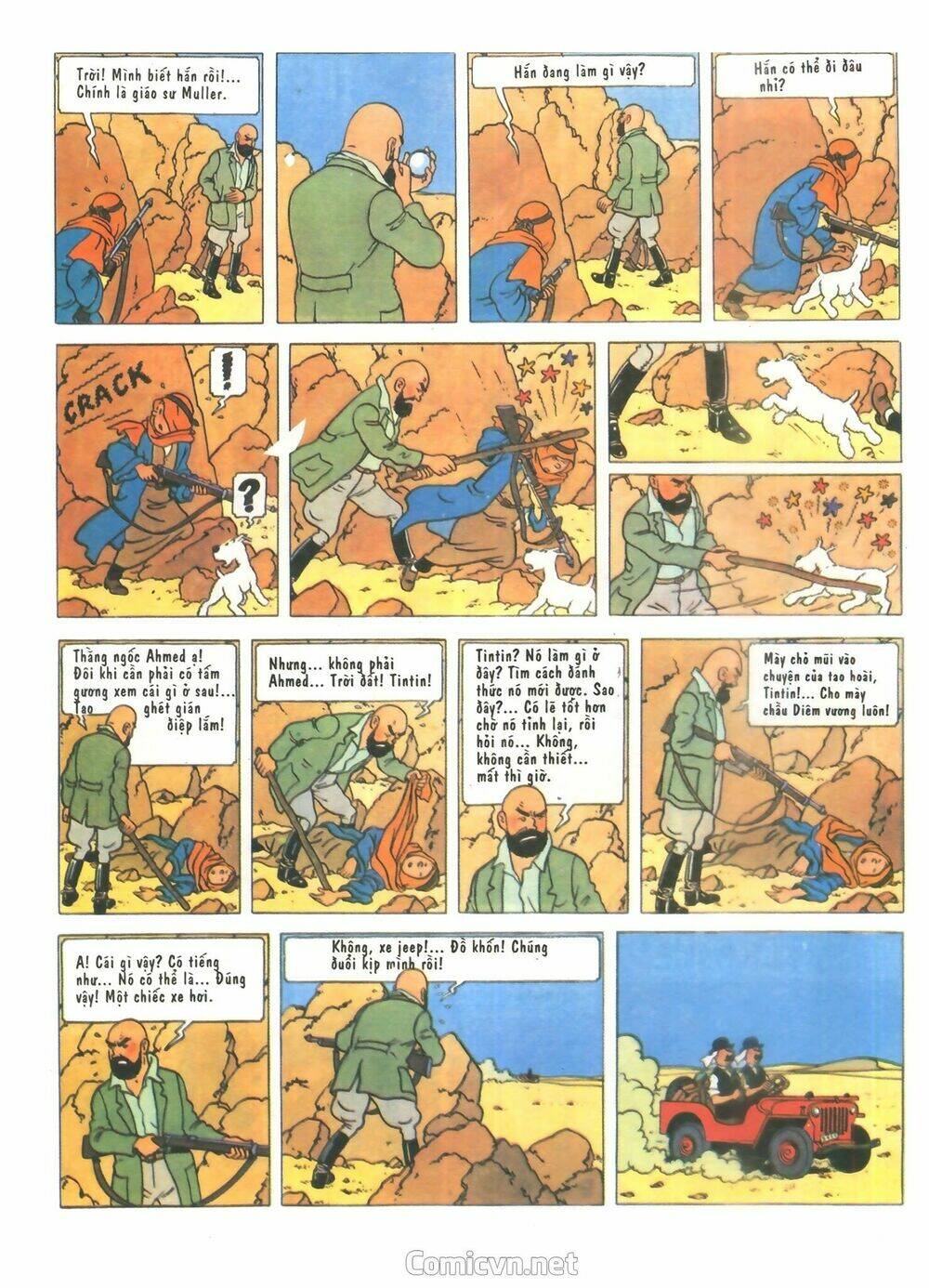 Những Cuộc Phiêu Lưu Của Tintin - Trang 27