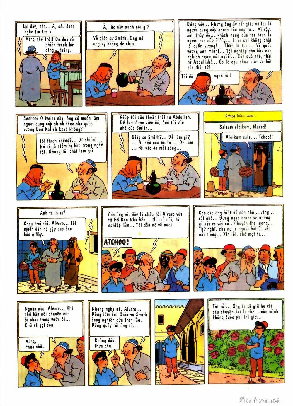 Những Cuộc Phiêu Lưu Của Tintin - Trang 12