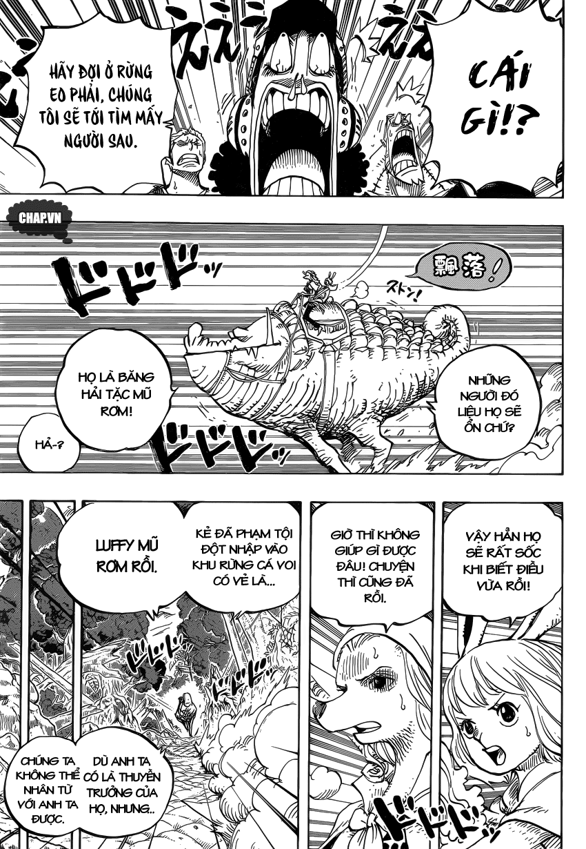 One Piece - Trang 5