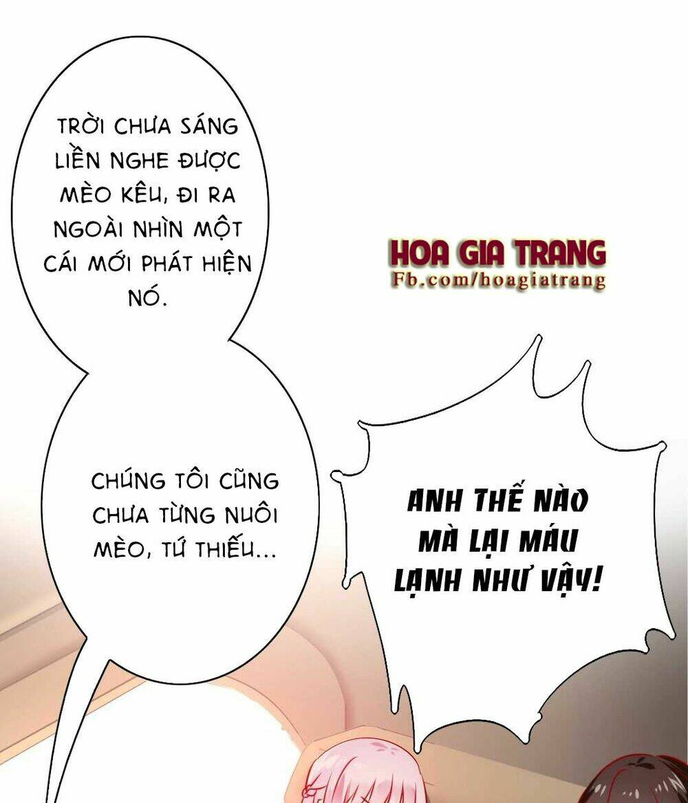 Phục Thù Thiếu Gia Tiểu Điềm Thê - Trang 4