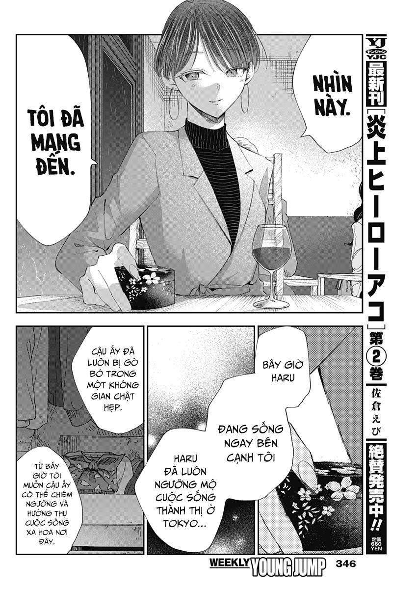 Seinen Shoyo Yo, Haru Wo Musabore - Trang 14