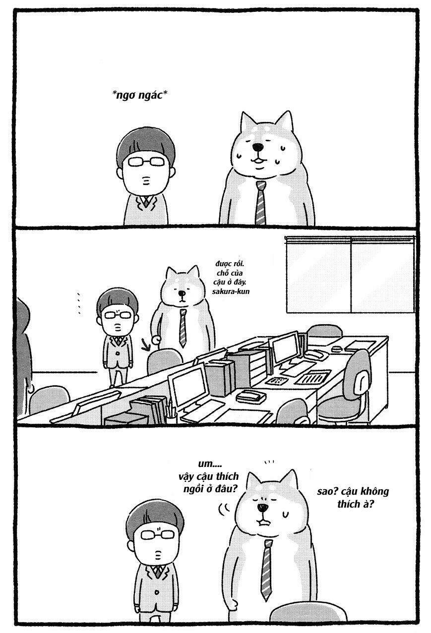 Shiba Occhan - Trang 2