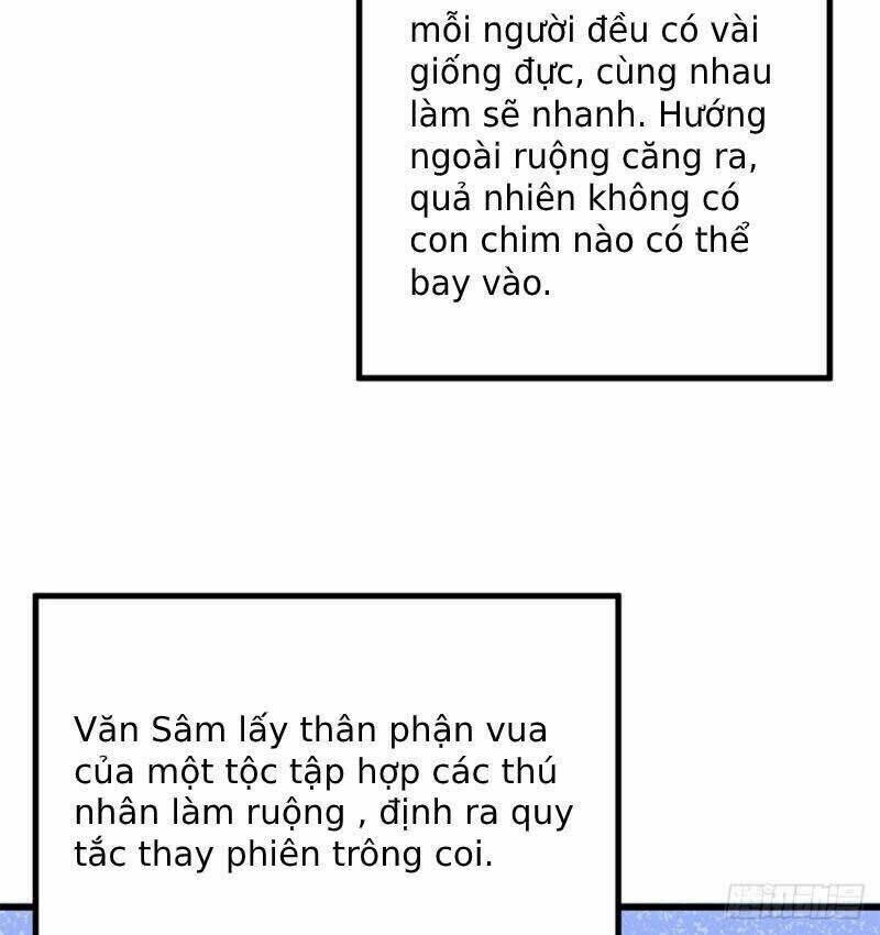 Thảnh Thơi Thú Thế Chủng Chủng Điền, Sinh Sinh Tể - Trang 41