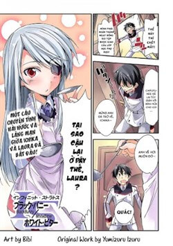 Truyện tranh Infinite Stratos: Black Bunny-White Bitter