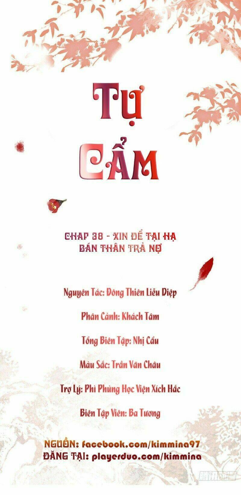 Tự Cẩm - Trang 1