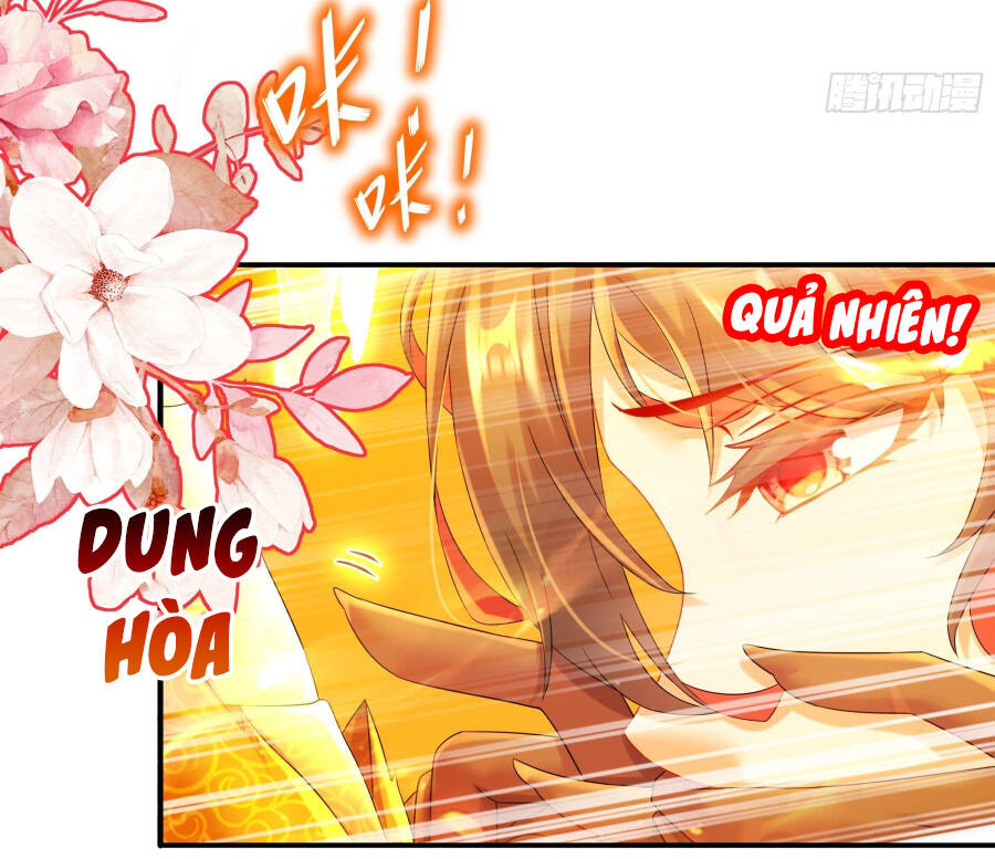 Tuyệt Sắc Đạo Lữ Đều Nói Ngô Hoàng Thể Chất Vô Địch - Chap 7