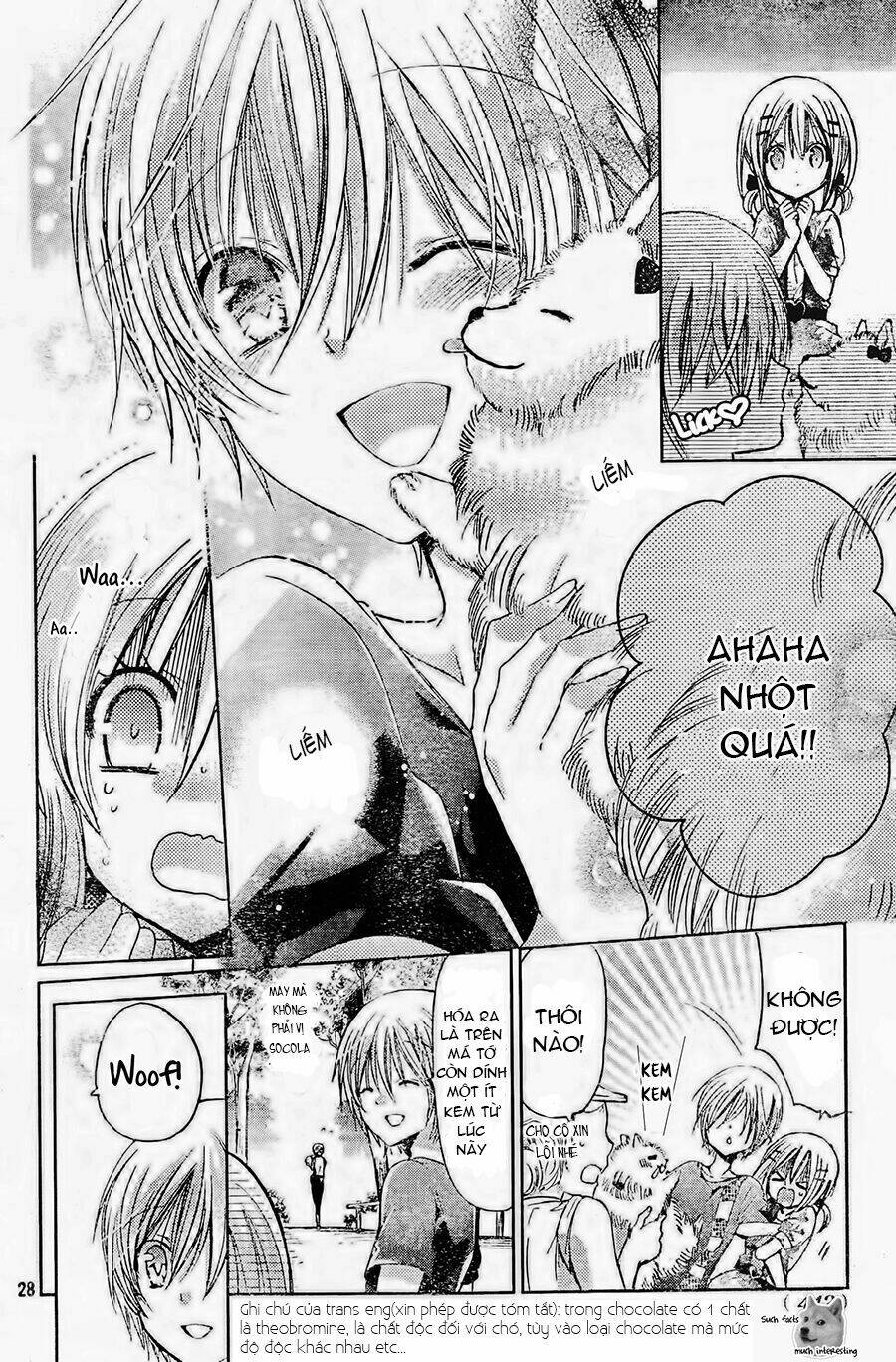 Watashi Ni Xx Shinasai! - Trang 29